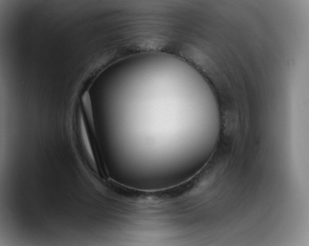 X0000089870634200707121755