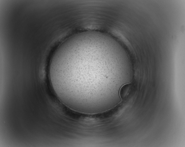 X0000089870635200707121755
