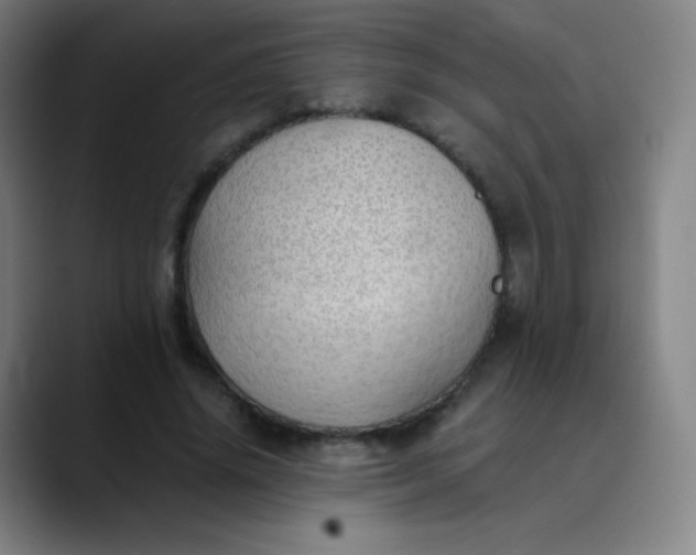 X0000089870636200707121755