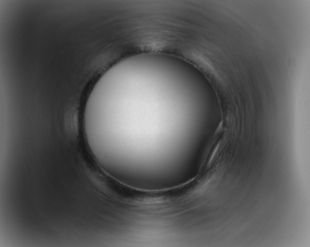 X0000089870638200707121755