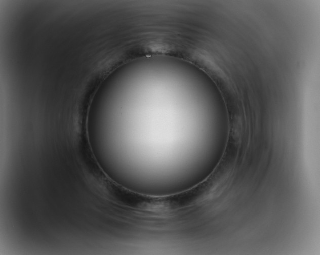 X0000089870639200707121755