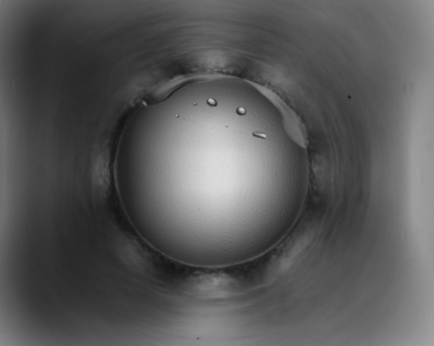 X0000089870642200707121755