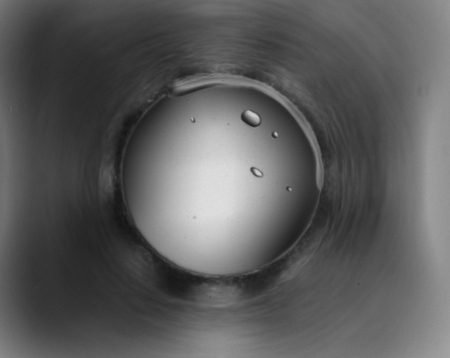 X0000089870644200707121755
