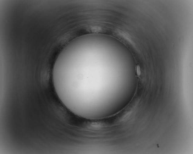 X0000089870645200707121755