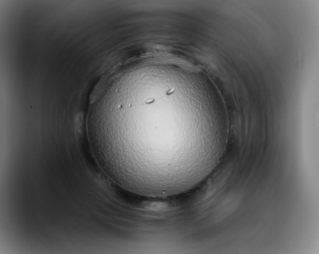 X0000089870649200707121755