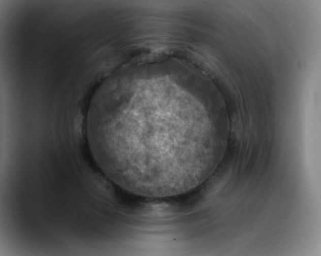 X0000089870650200707121755