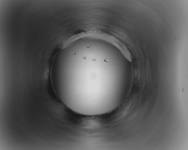 X0000089870652200707121755