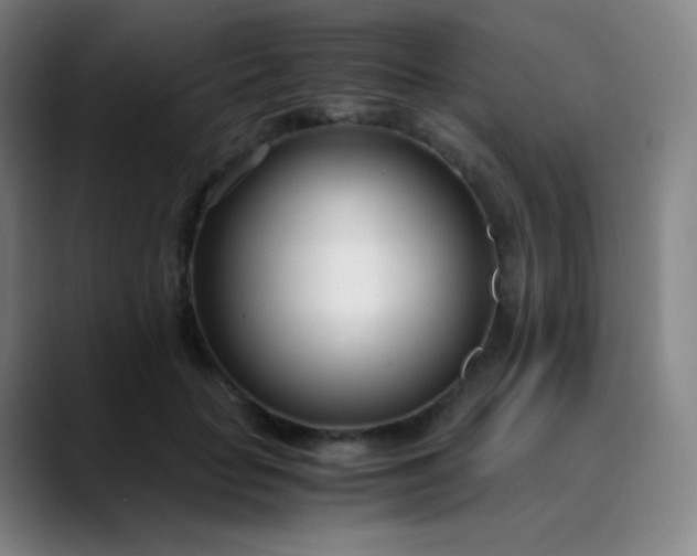 X0000089870653200707121755
