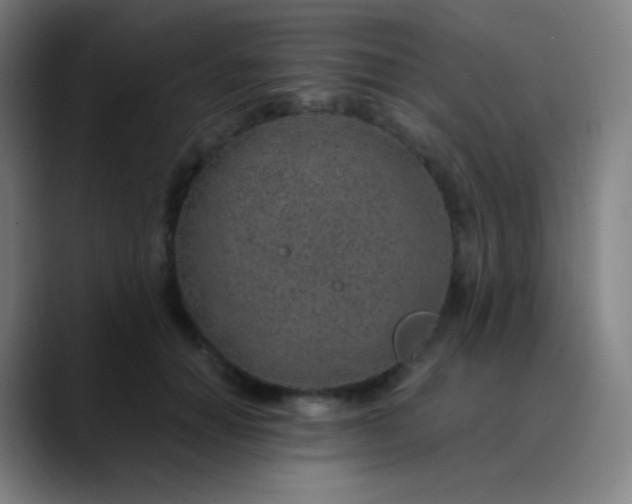 X0000089870654200707121755