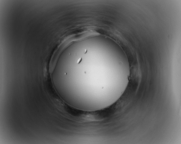 X0000089870655200707121755