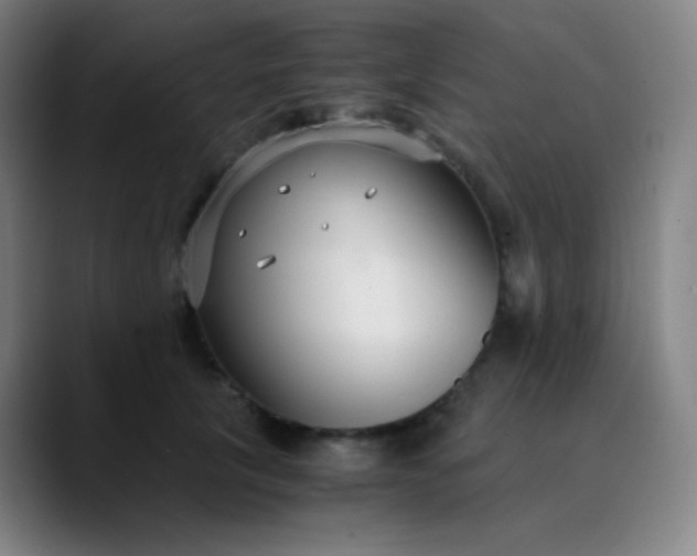 X0000089870657200707121755