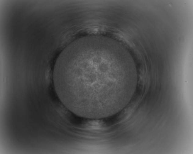 X0000089870659200707121755