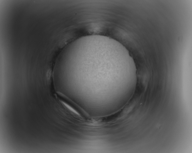 X0000089870660200707121755