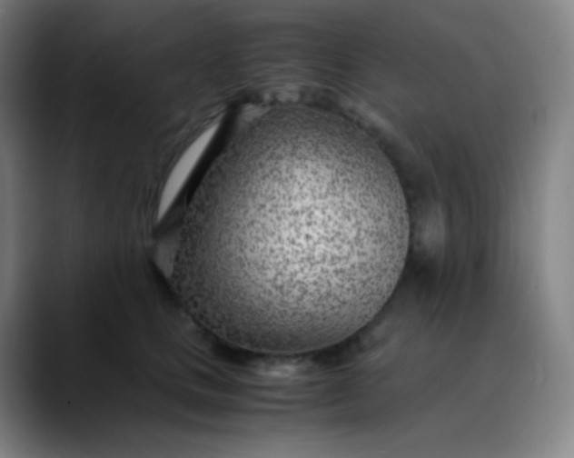 X0000089870661200707121755