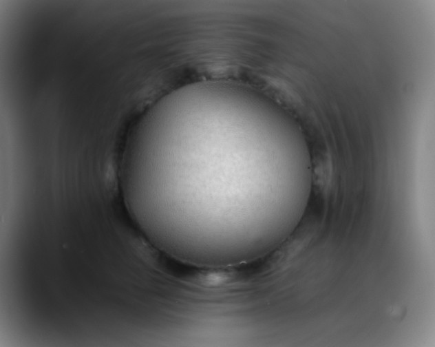 X0000089870662200707121755