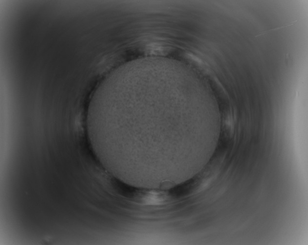 X0000089870663200707121755