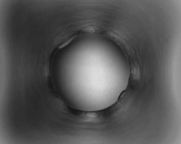 X0000089870665200707121755