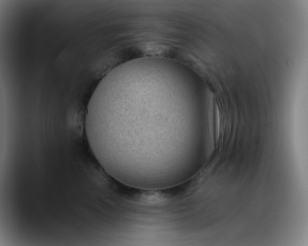 X0000089870666200707121755