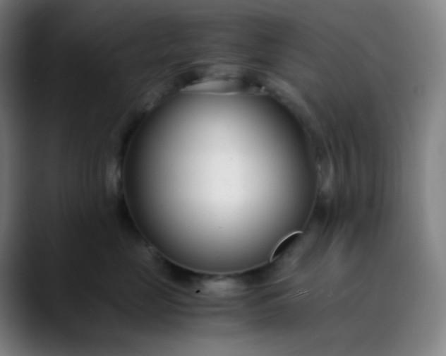 X0000089870669200707121755