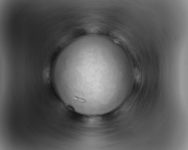 X0000089870670200707121755