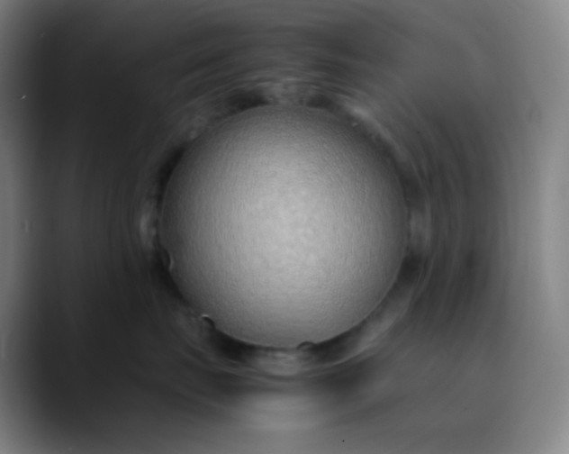 X0000089870671200707121755