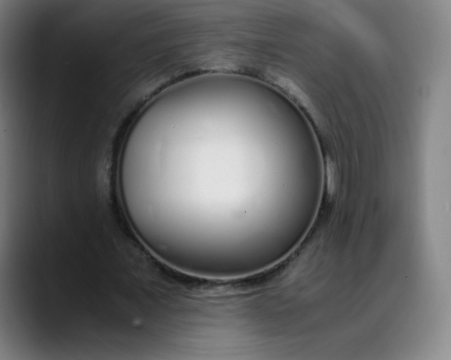 X0000089870675200707121755
