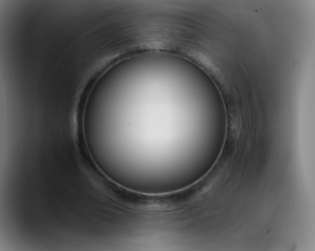 X0000089870678200707121754
