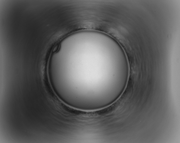 X0000089870679200707121754