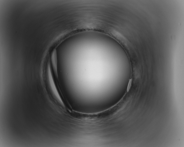 X0000089870680200707121754