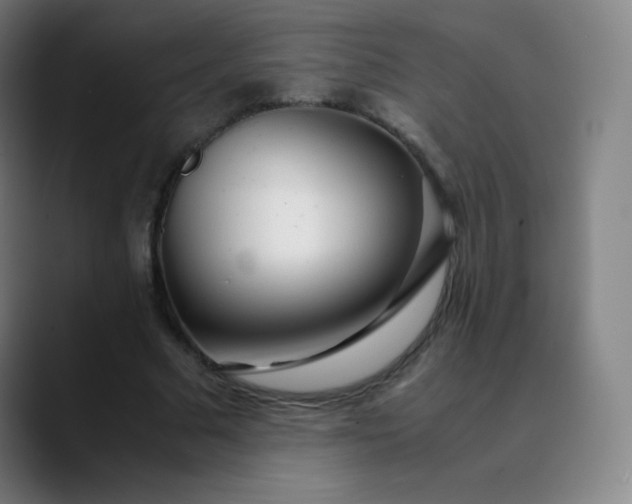 X0000089870681200707121754