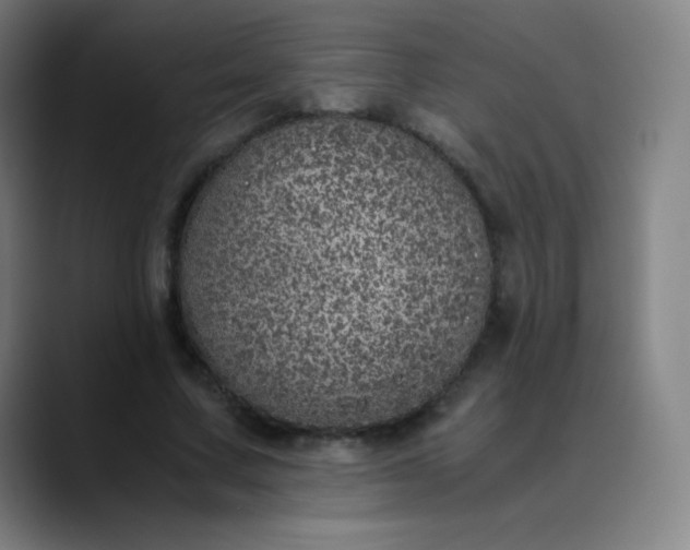 X0000089870683200707121754