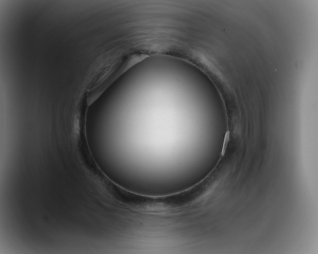 X0000089870685200707121754