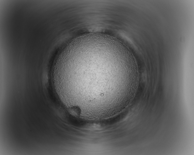 X0000089870687200707121754