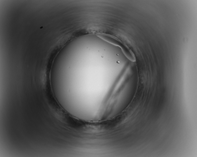 X0000089870690200707121754