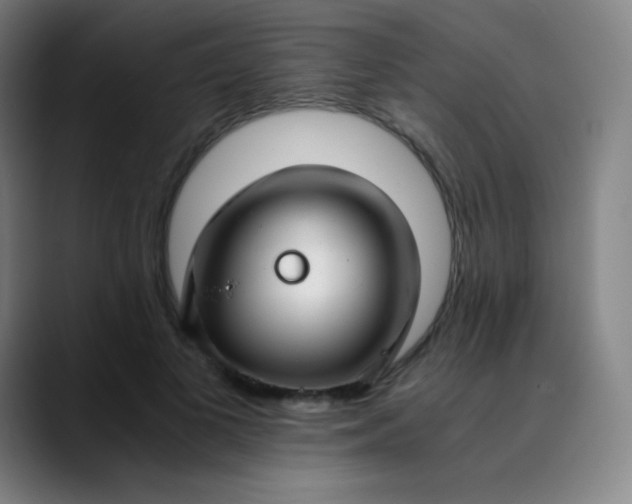 X0000089870693200707121754