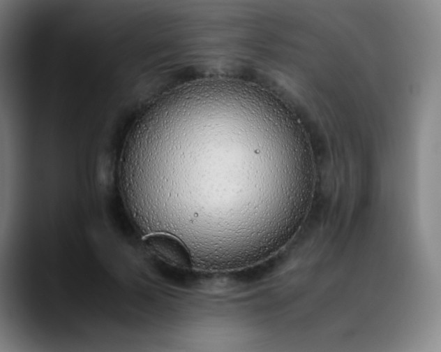 X0000089870695200707121754