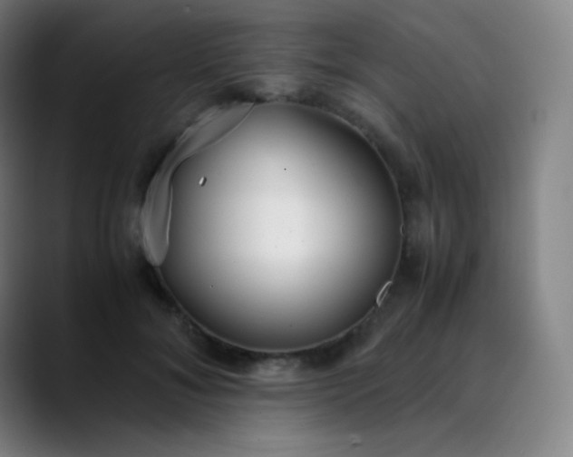 X0000089870700200707121754