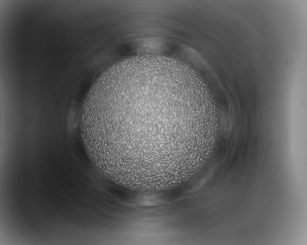 X0000089870701200707121754