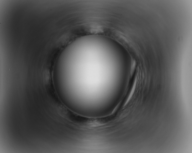 X0000089870704200707121754