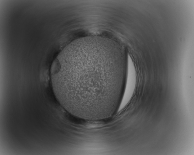 X0000089870707200707121754
