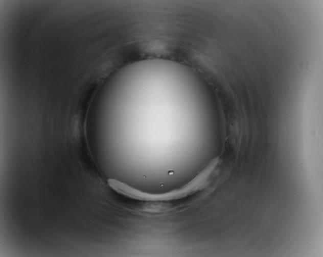 X0000089870708200707121754