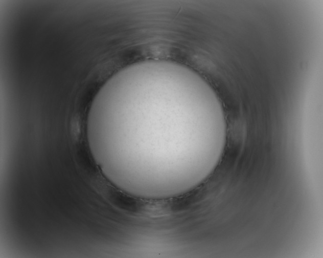 X0000089870709200707121754