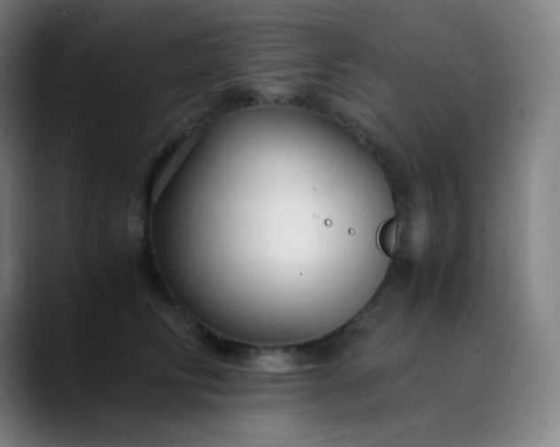 X0000089870710200707121754