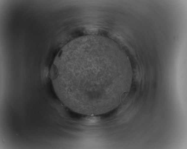 X0000089870711200707121754