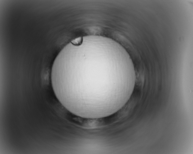 X0000089870717200707121754