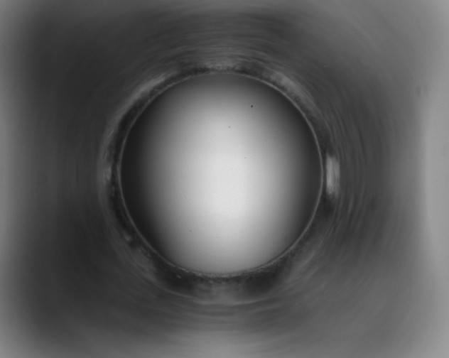 X0000089870723200707121753