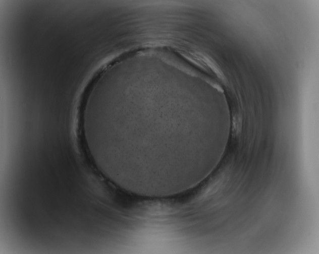 X0000089870724200707121753