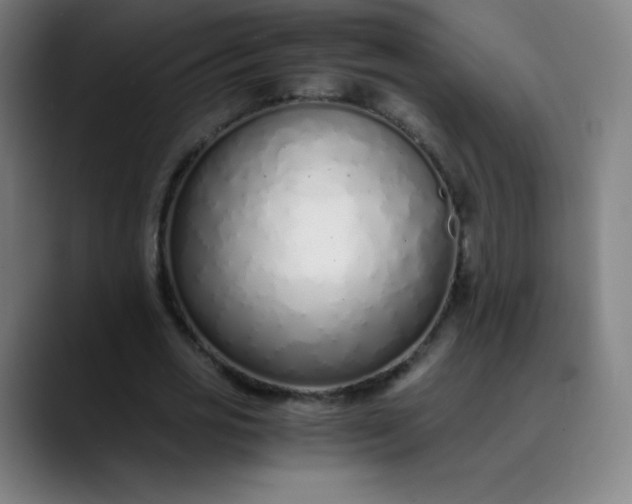 X0000089870725200707121753