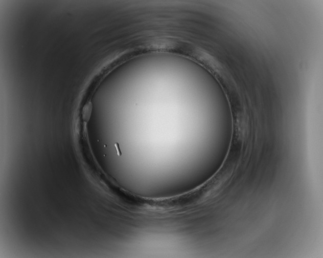 X0000089870726200707121753