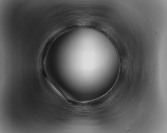 X0000089870727200707121754